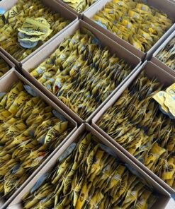 Jungle Boys 20 Year Anniversary 3.5g gold mylar flower assortment