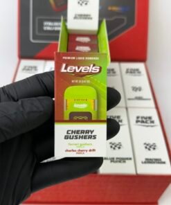 Levels 2G 3-in-1 Premium Liquid Diamonds Disposable — main product view