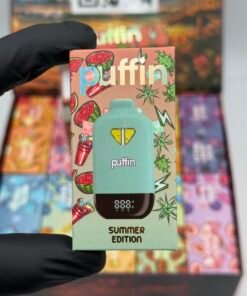 Puffin Summer Edition 2G device with retail packaging